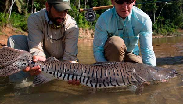 Тропическая рыбалка в джунглях и горных реках