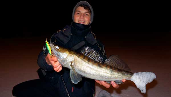 Рыбалка на твичинг при свете фонаря