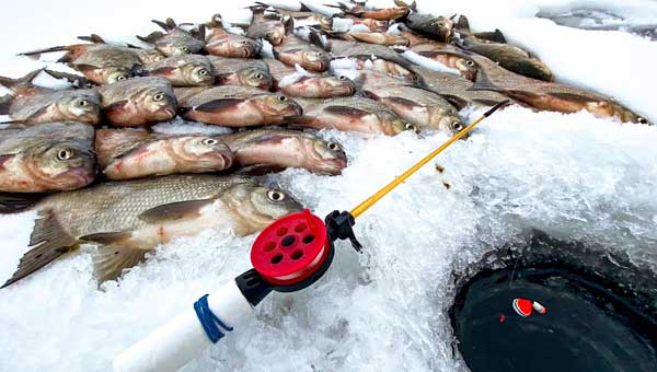 Особливості зимньої риболовлі