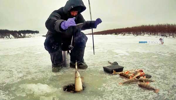 Рибалка взимку для новачків